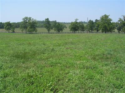 1 Craig Lane Georgetown, KY 40324 - Photo 1 of 3 Photo 1