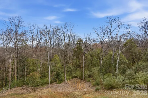 a view of swimming pool with trees in the background