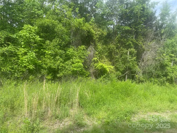 a view of a lush green space