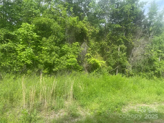 a view of a lush green space