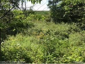 0 Huron Line Road East Minden City, MI 48456 - Photo 31 of 63 5030052560_38.jpg