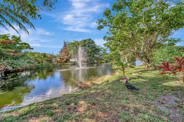 a body of water with a tree in the background