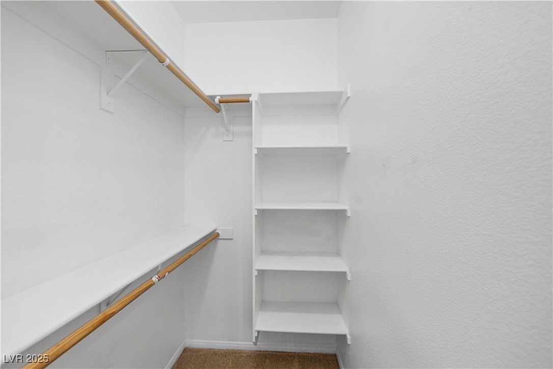 1430 Star Road Pahrump, NV 89048 - Photo 28 of 32 Walk in closet featuring carpet floors