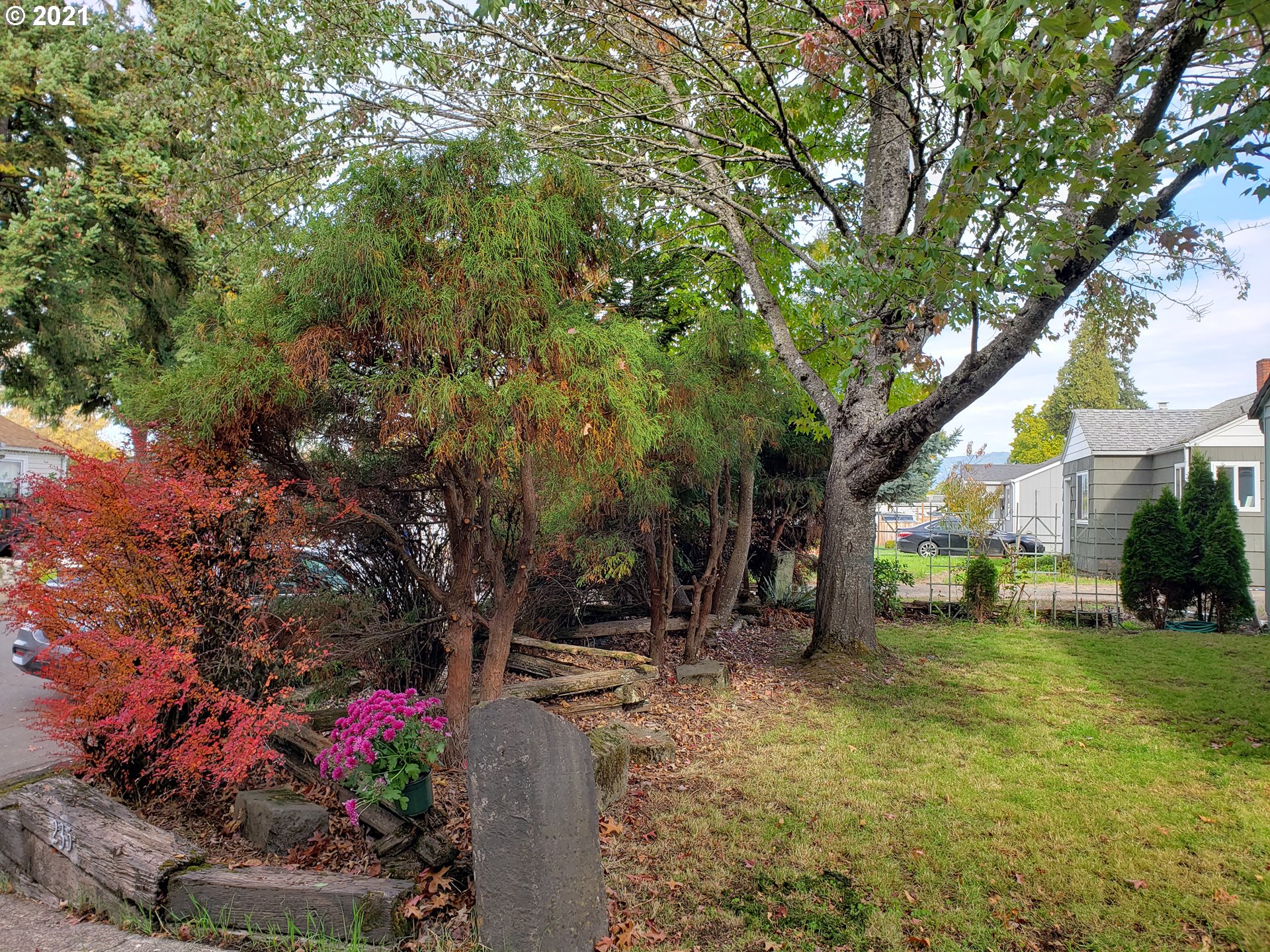 235 North 24th Street Springfield, OR 97477 - Photo 11 of 24 a view of a garden with a tree