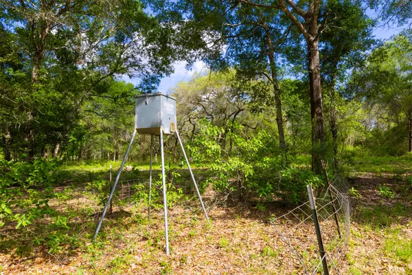 a view of an outdoor space