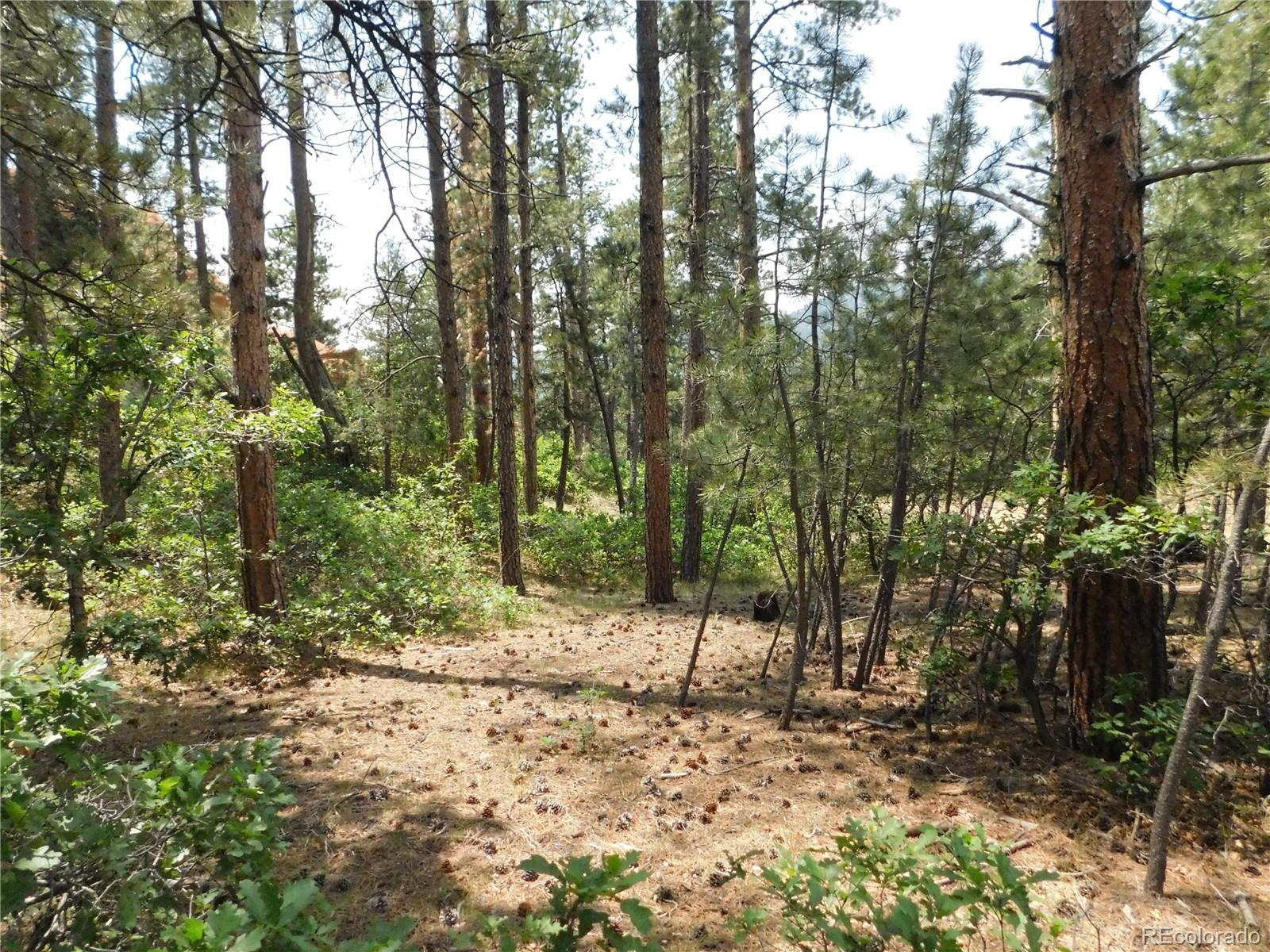 8356 Quivas Road Larkspur, CO 80118 - Photo 44 of 44