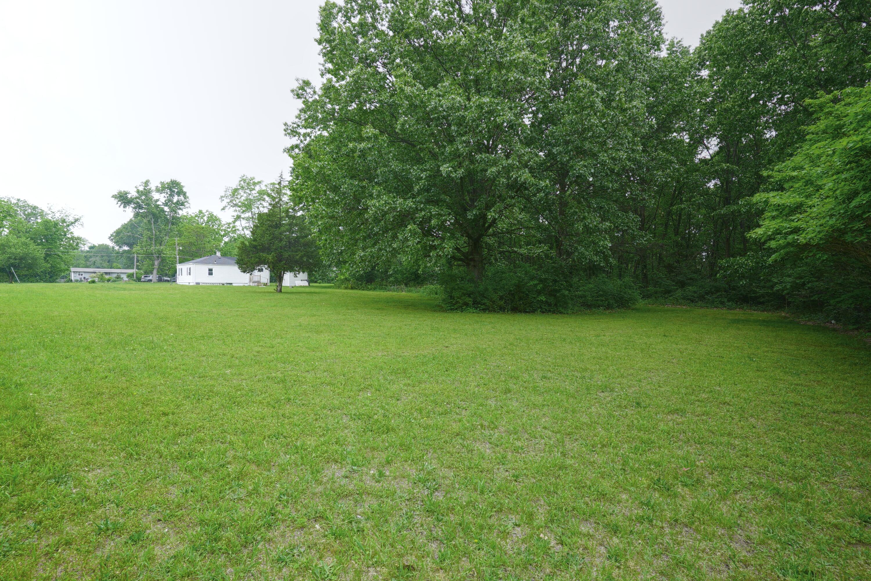 Backyard 1