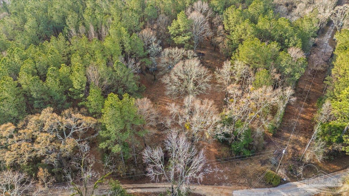 7901 Short Creek Road Jay, FL 32565 - Photo 12 of 21