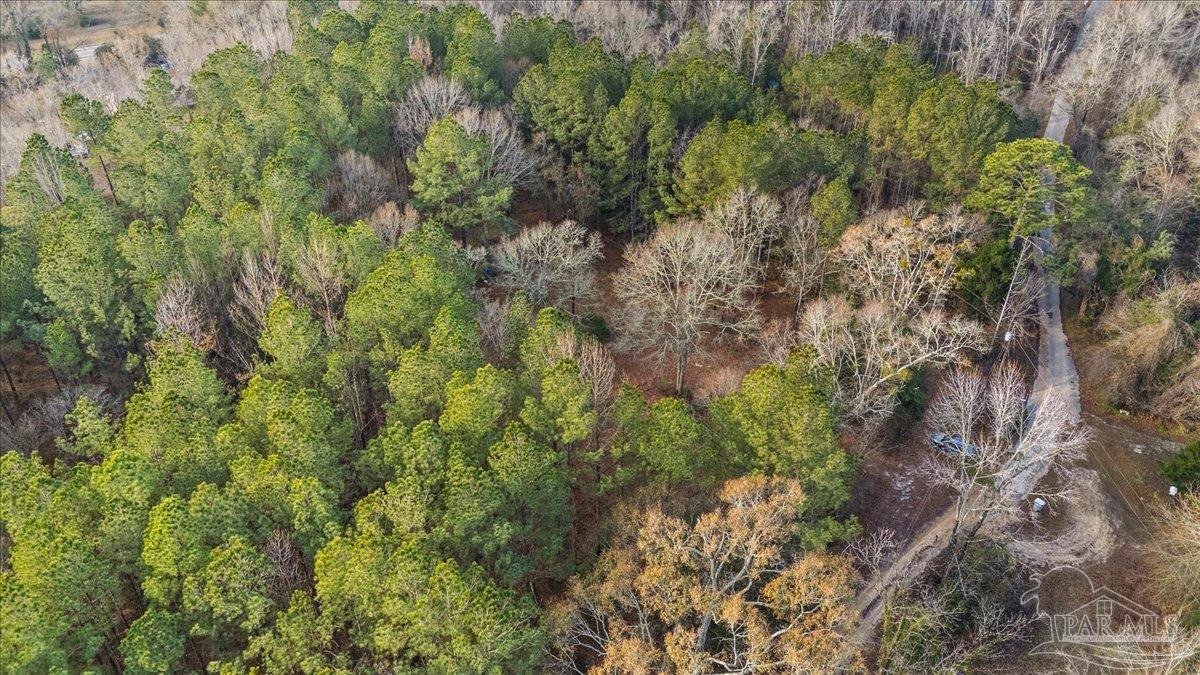 7901 Short Creek Road Jay, FL 32565 - Photo 13 of 21