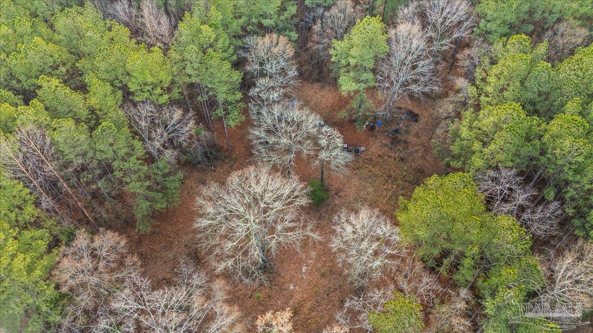 7901 Short Creek Road Jay, FL 32565 - Photo 15 of 21