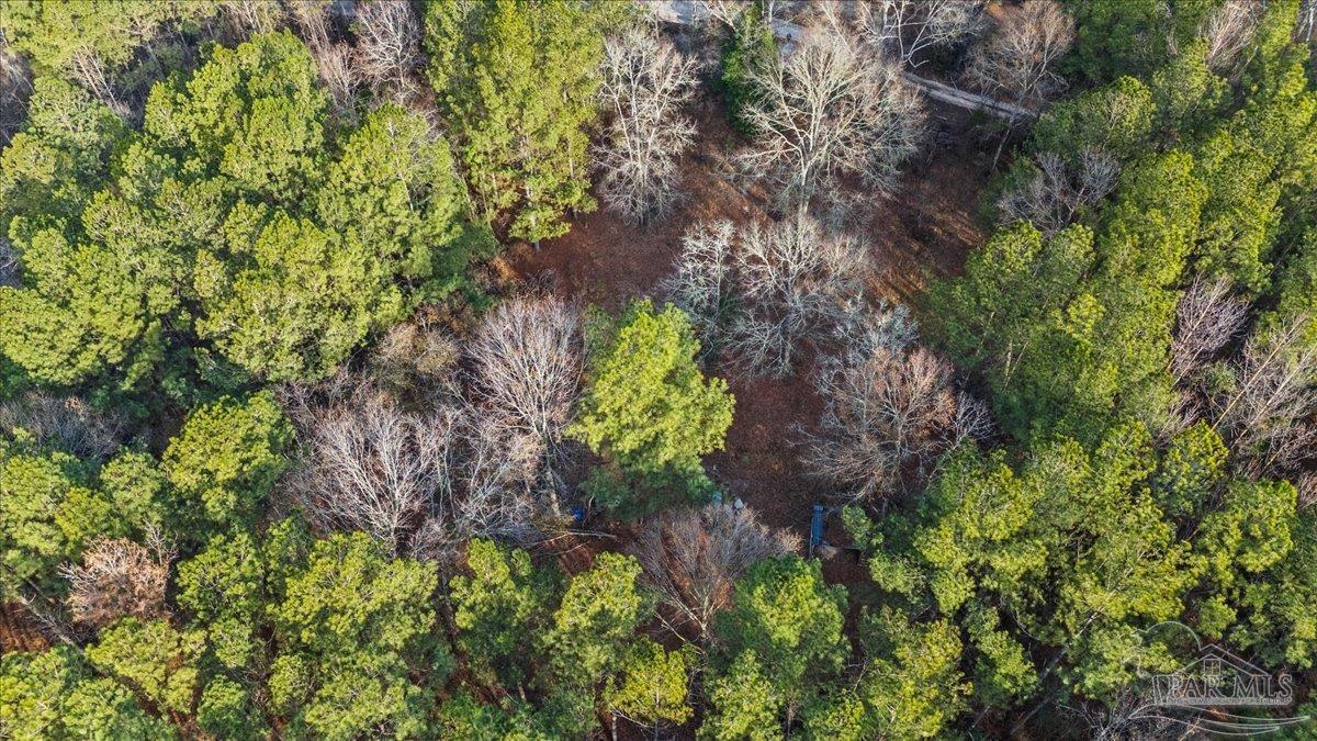 7901 Short Creek Road Jay, FL 32565 - Photo 16 of 21