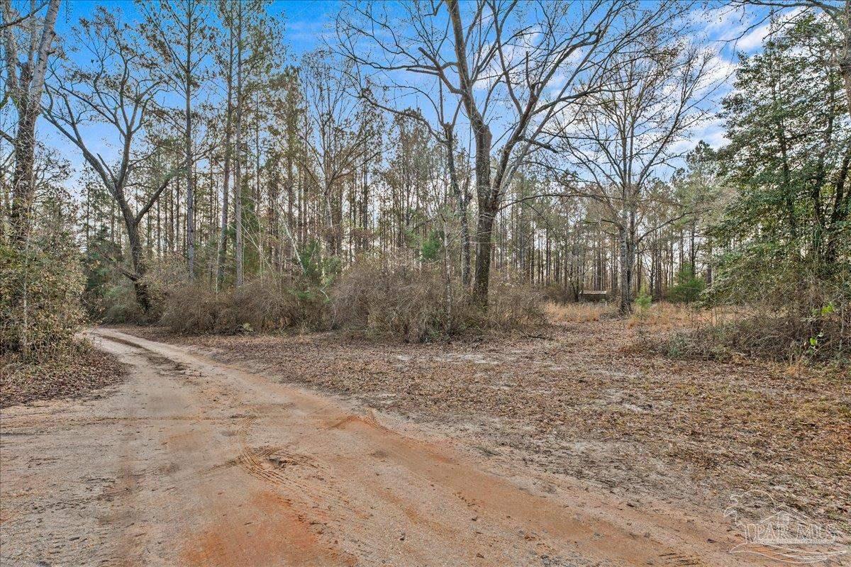 7901 Short Creek Road Jay, FL 32565 - Photo 4 of 21