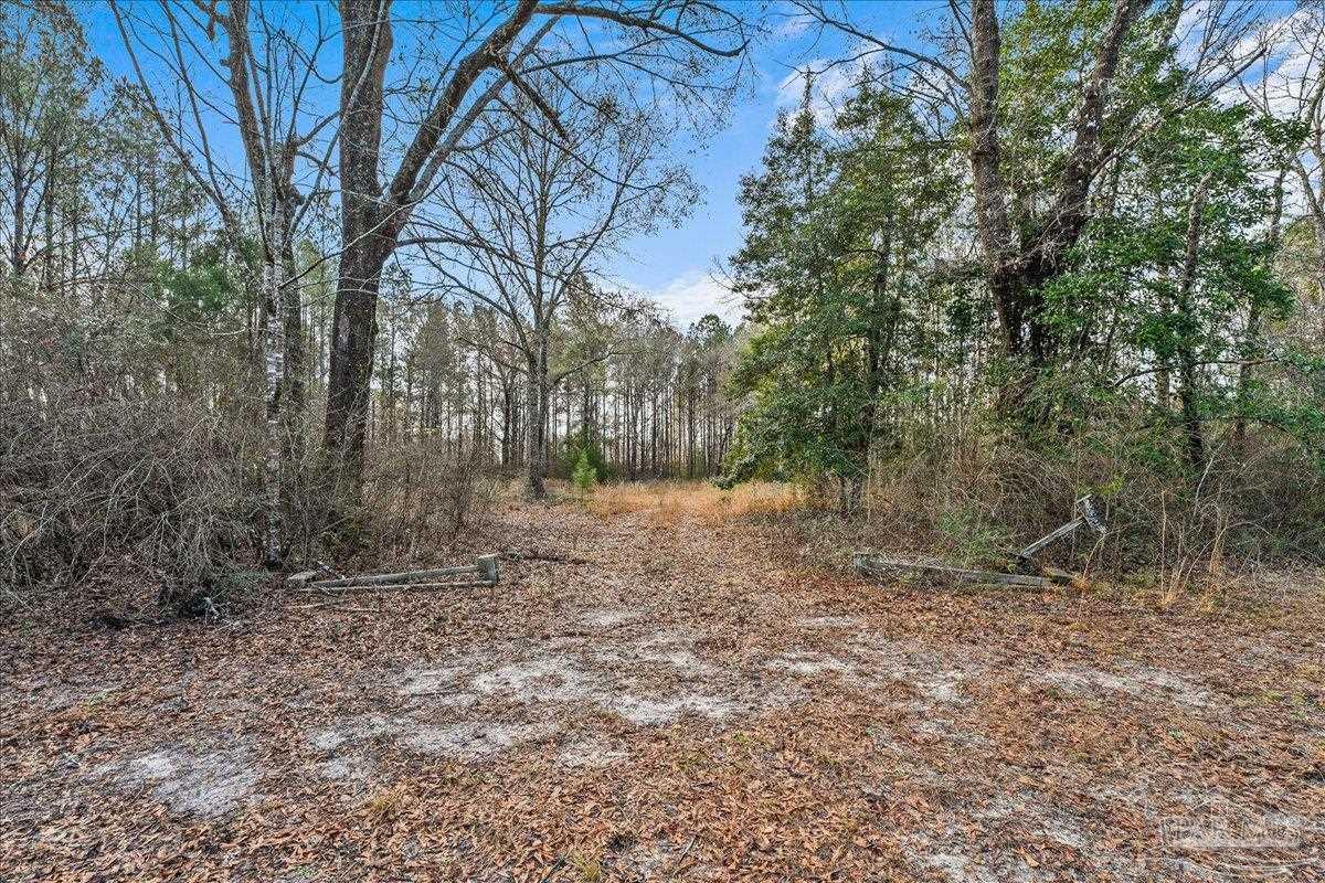 7901 Short Creek Road Jay, FL 32565 - Photo 5 of 21