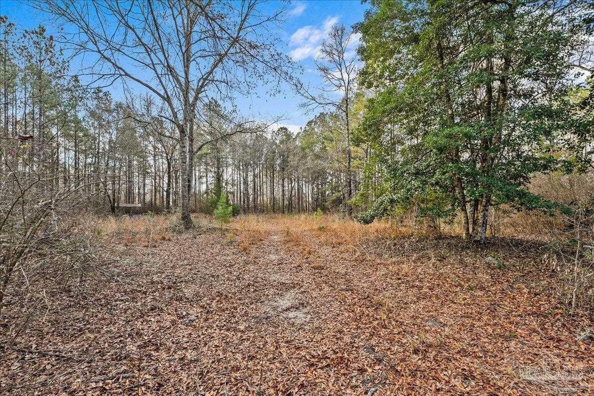 7901 Short Creek Road Jay, FL 32565 - Photo 6 of 21