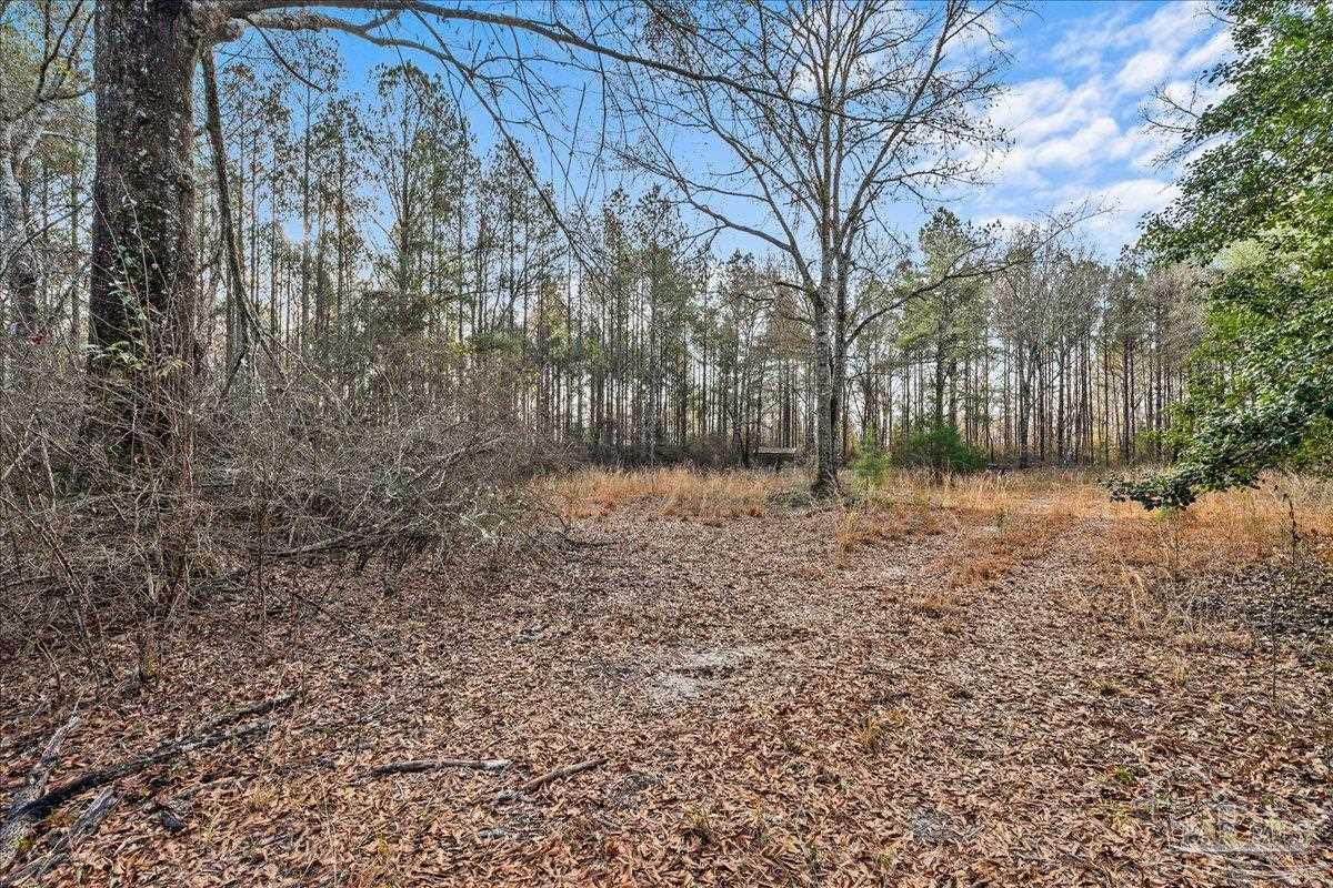 7901 Short Creek Road Jay, FL 32565 - Photo 7 of 21