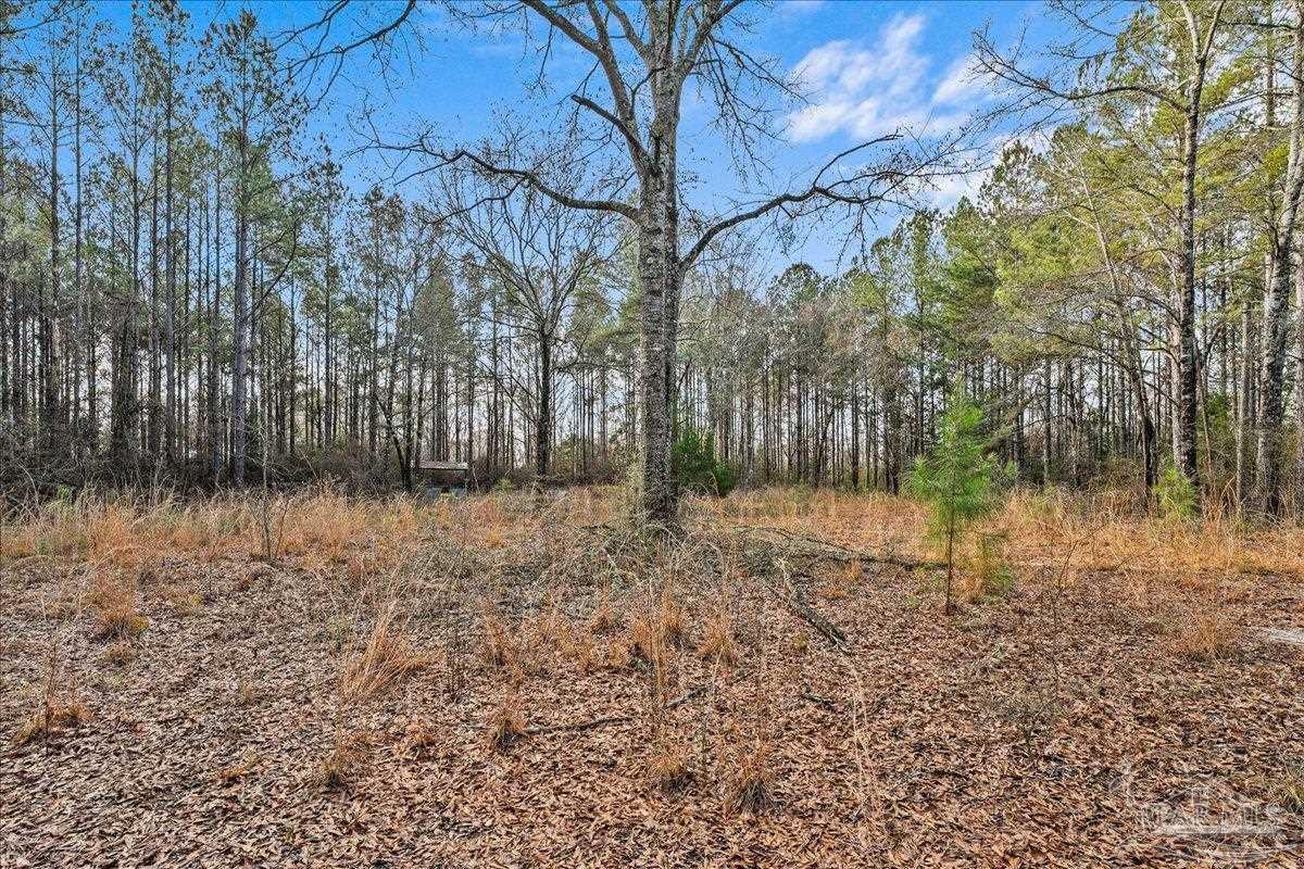 7901 Short Creek Road Jay, FL 32565 - Photo 8 of 21