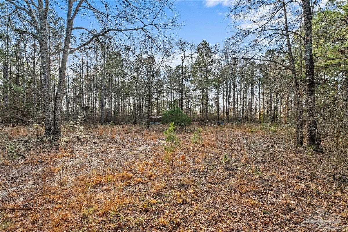 7901 Short Creek Road Jay, FL 32565 - Photo 9 of 21