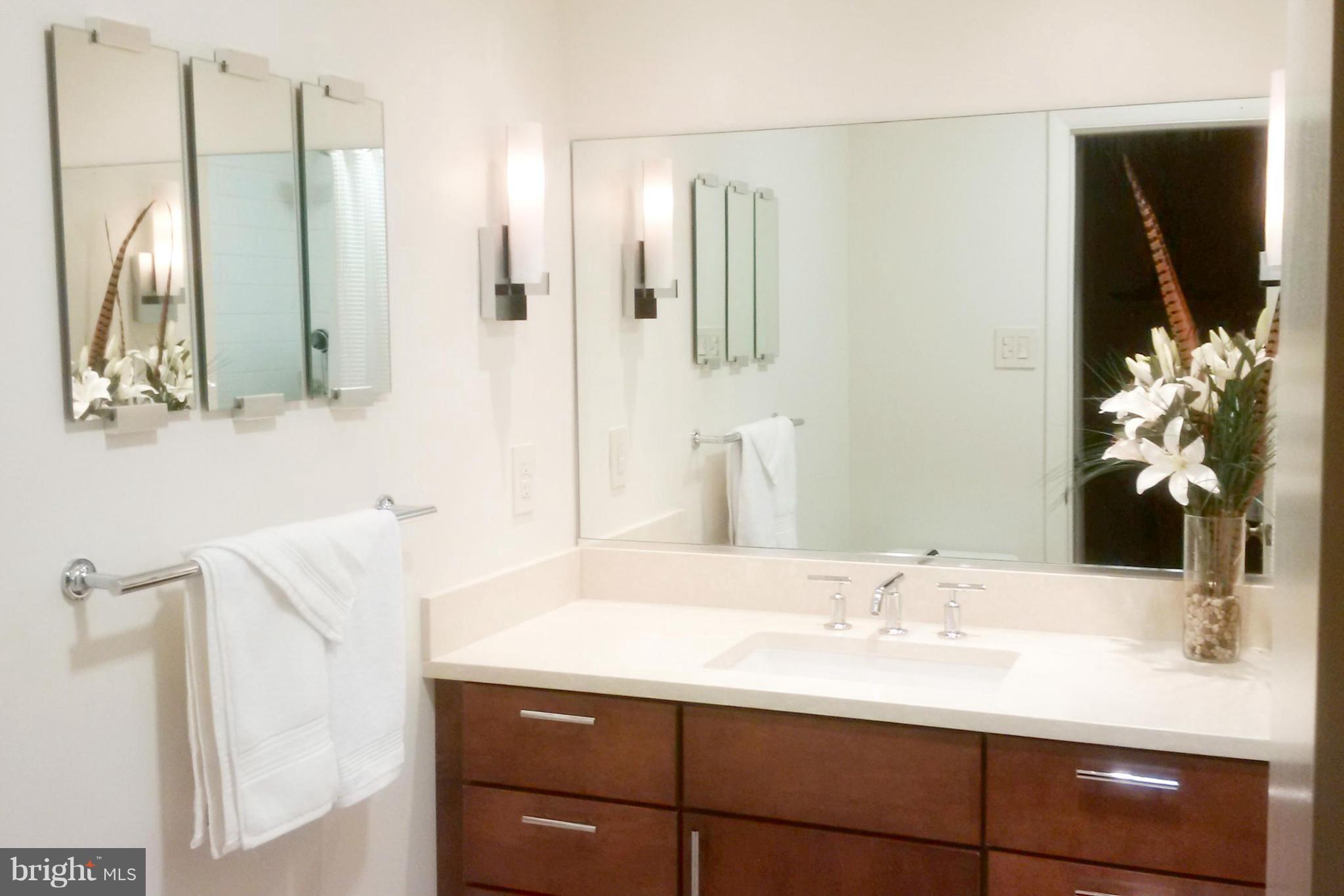 11235 South Shore Road Reston, VA 20190 - Photo 16 of 27 Bath