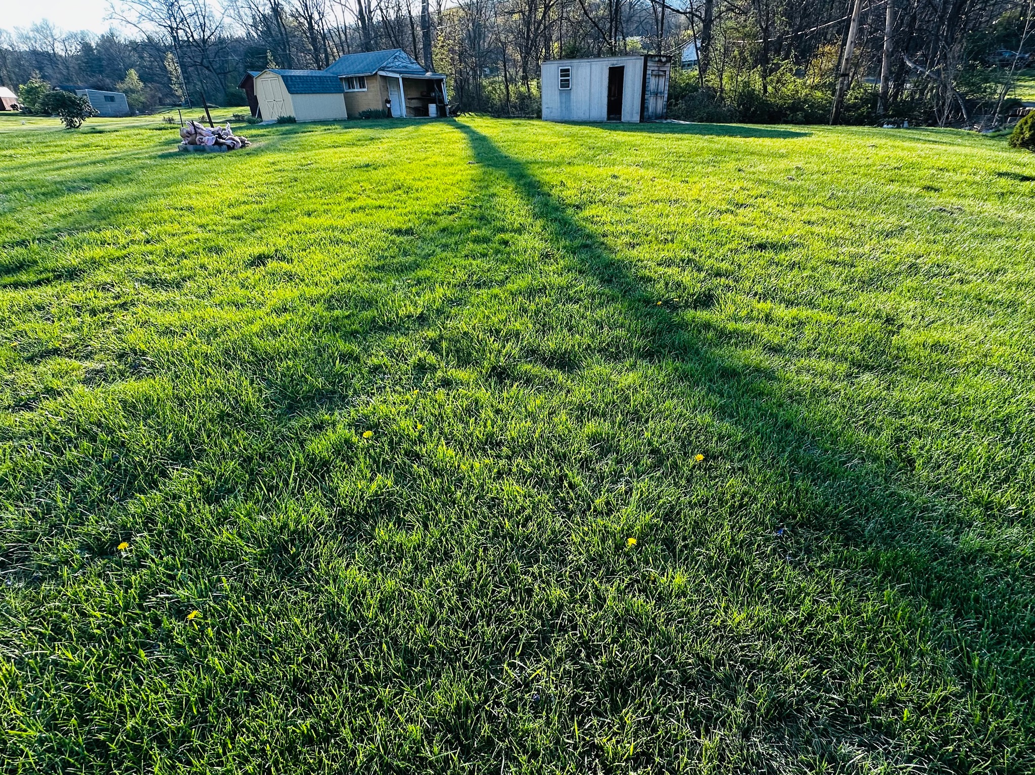 19803 McMullen Highway Southwest Rawlings, MD 21557 - Photo 6 of 35 Awesome Back Yard