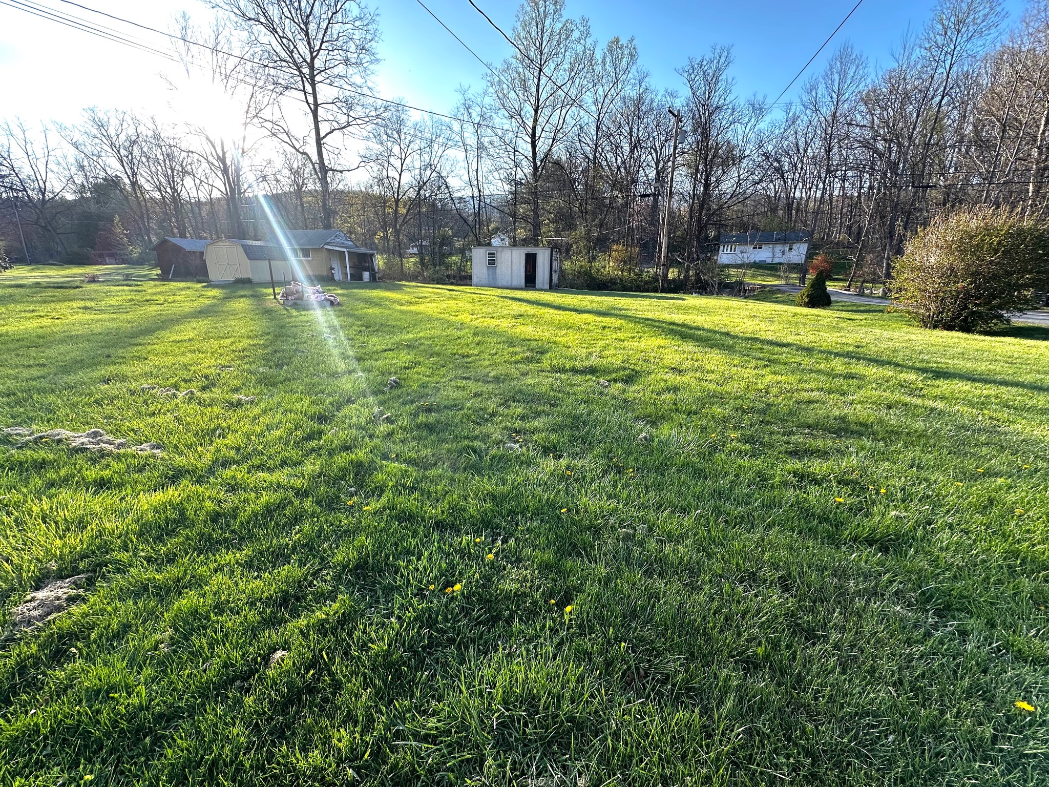 19803 McMullen Highway Southwest Rawlings, MD 21557 - Photo 7 of 35 Awesome Back Yard