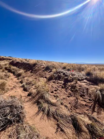 an aerial view of residential house and ocean