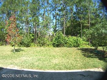 4161 Ripken Circle West Jacksonville, FL 32224 - Photo 12 of 14 Backyard