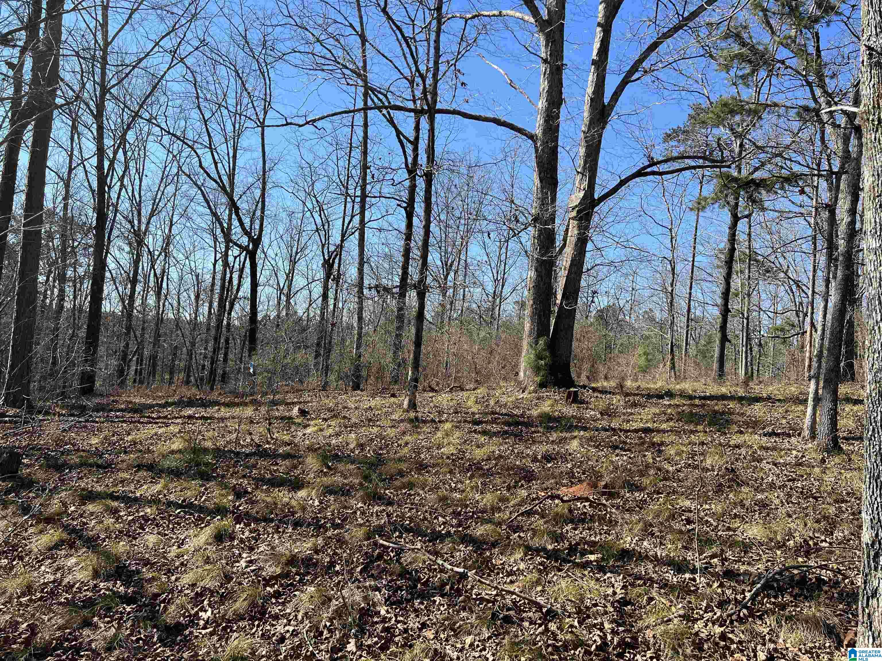 0 County Road 2811, Unit 1 Lineville, AL 36266 - Photo 12 of 13