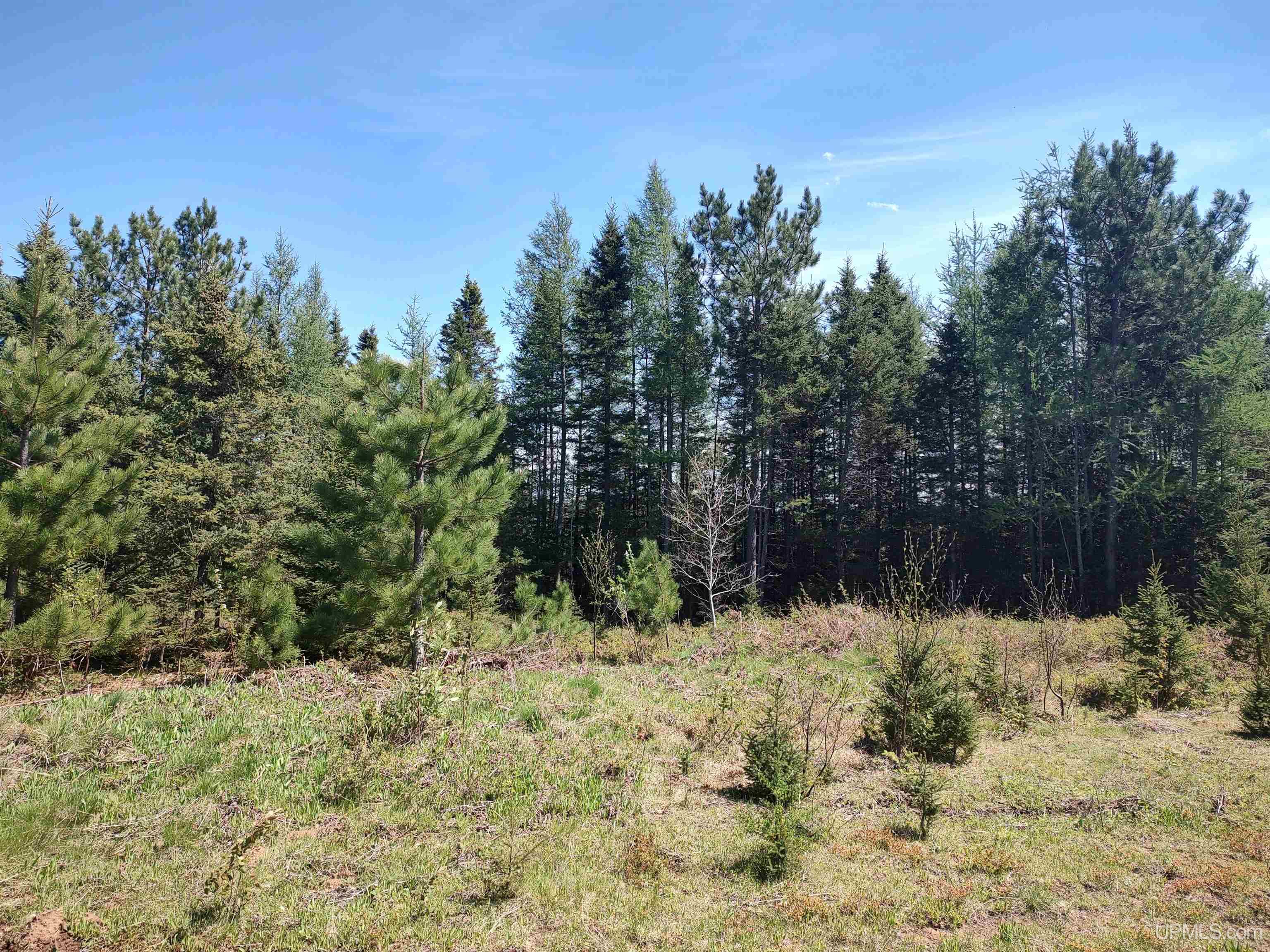 58-acres Co Rd Fn Road Champion, MI 49814 - Photo 21 of 27
