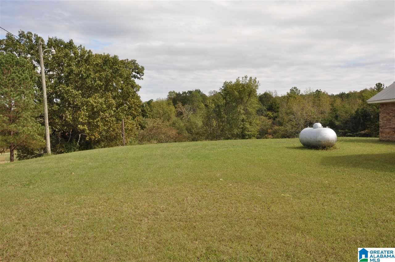 135 Loil Abbott Road Hayden, AL 35079 - Photo 24 of 25