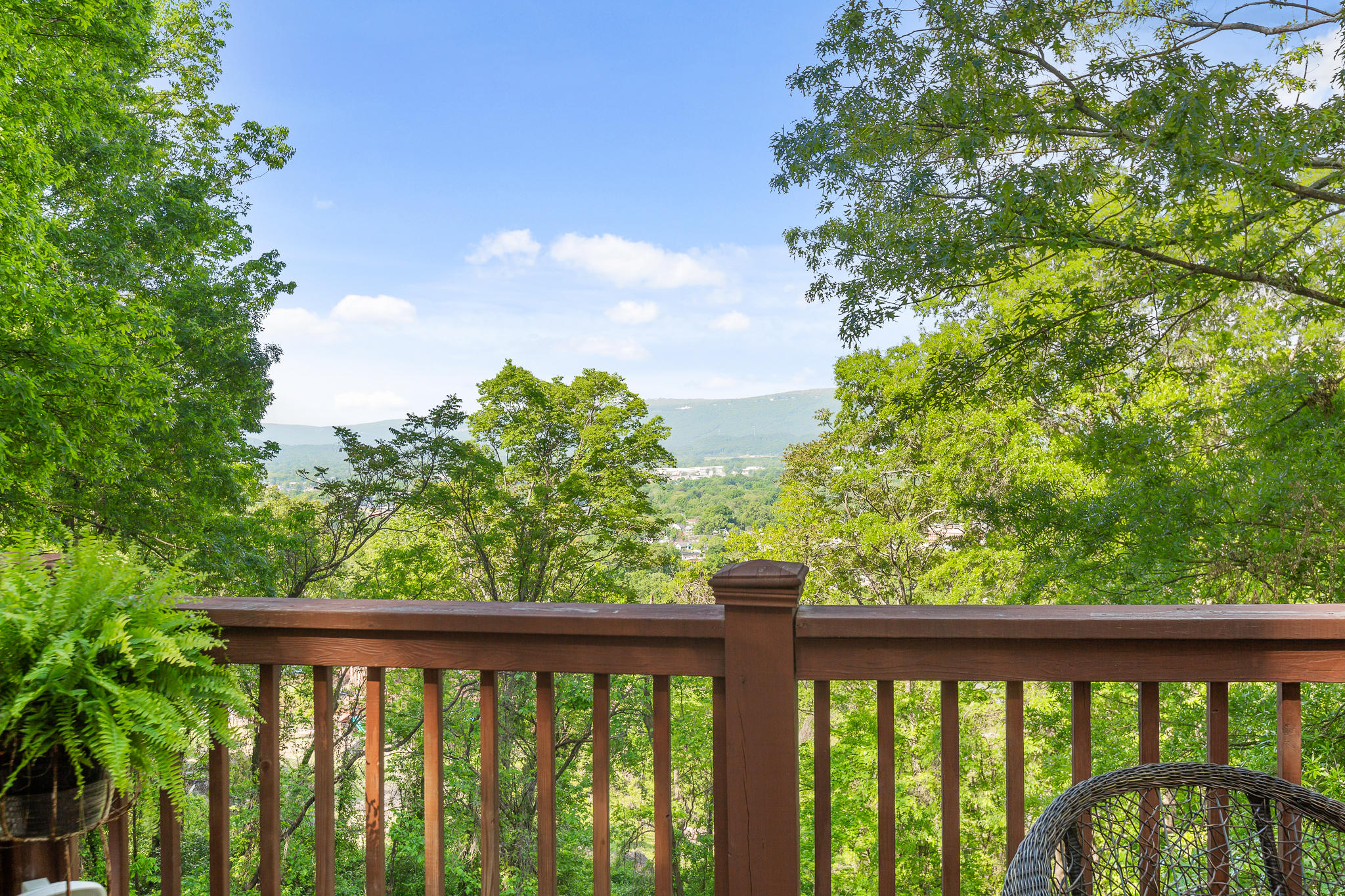 333 South Crest Road Chattanooga, TN 37404 - Photo 28 of 51 S Crest-28