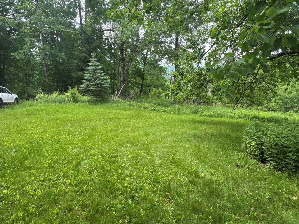 1189 Grange Hall Road Oneonta, NY 13820 - Photo 6 of 9
