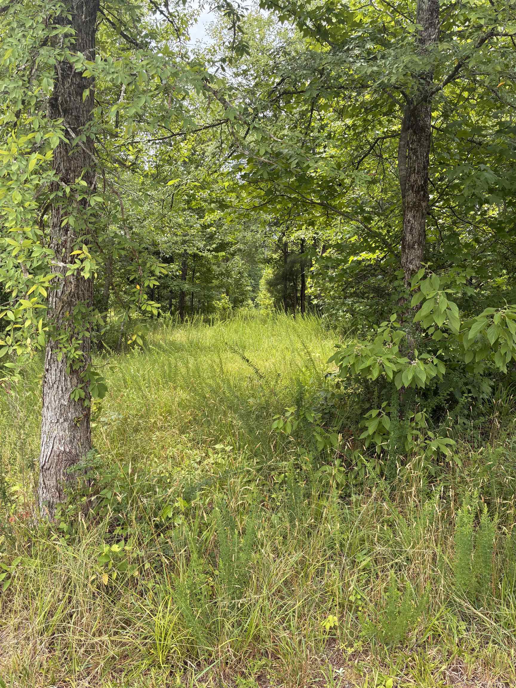 Lot 1 State Rd S-11-54 Gaffney, SC 29340 - Photo 5 of 19
