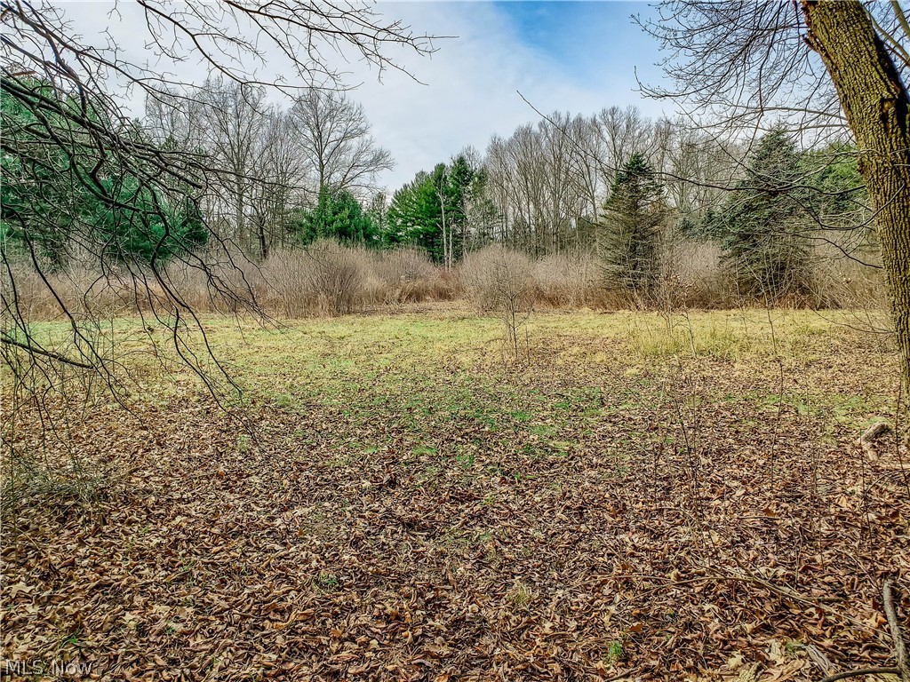 Vl Peck Road Ravenna, OH 44266 - Photo 1 of 12 Gallery Image 1