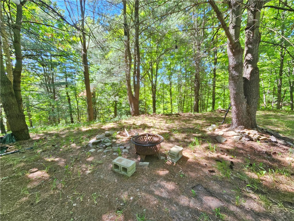 613 East Lake Road Penn Yan, NY 14527 - Photo 3 of 35