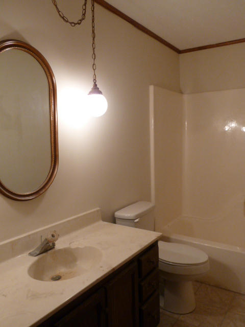 7829 Keswick Road Powell, TN 37849 - Photo 20 of 30 Hall Bath P1140368