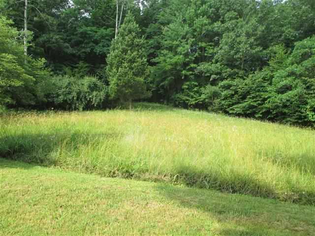 8900 South Roberts Road Heltonville, IN 47436 - Photo 3 of 11 Gallery Image 3