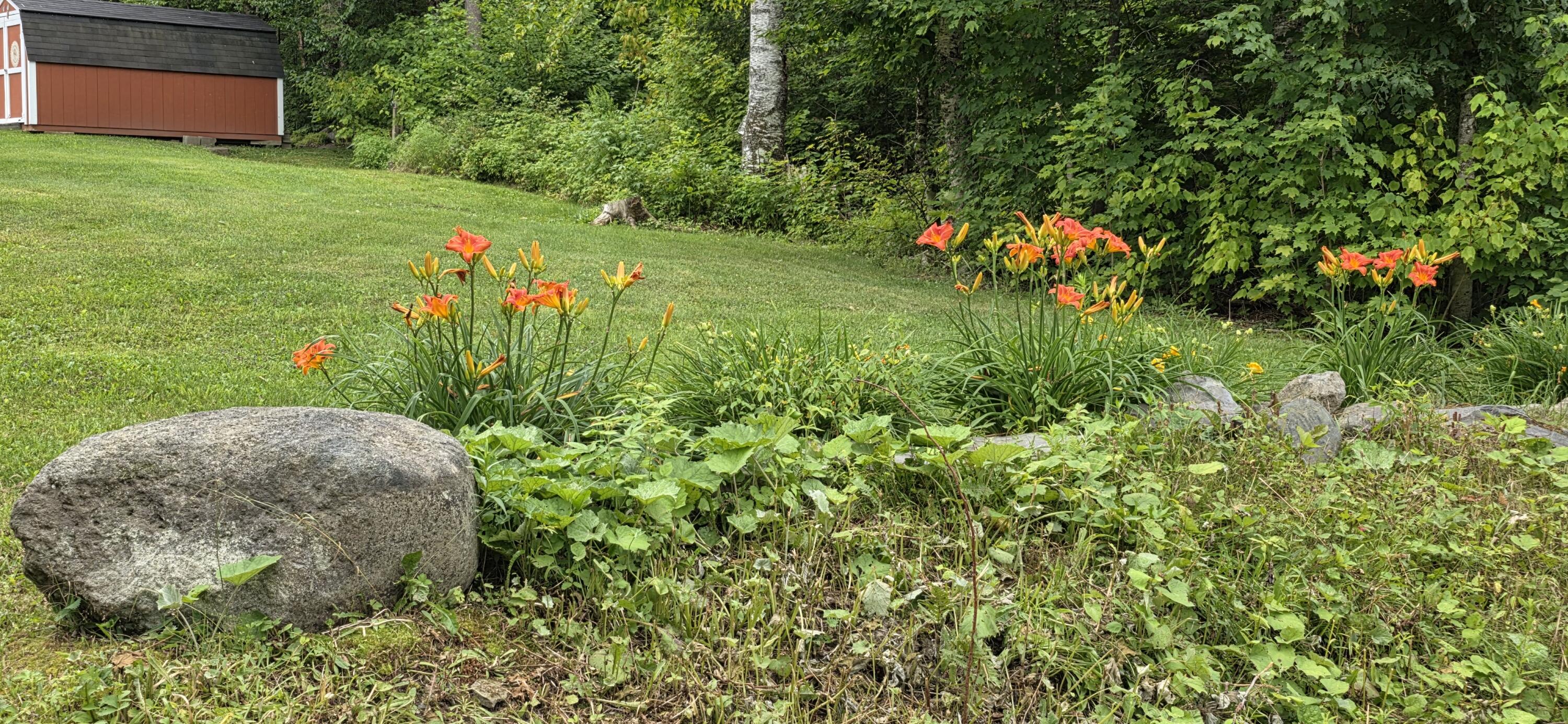 25 Oak Ridge Road Shirley Mills, ME 04485 - Photo 15 of 43 Yard - Flowers