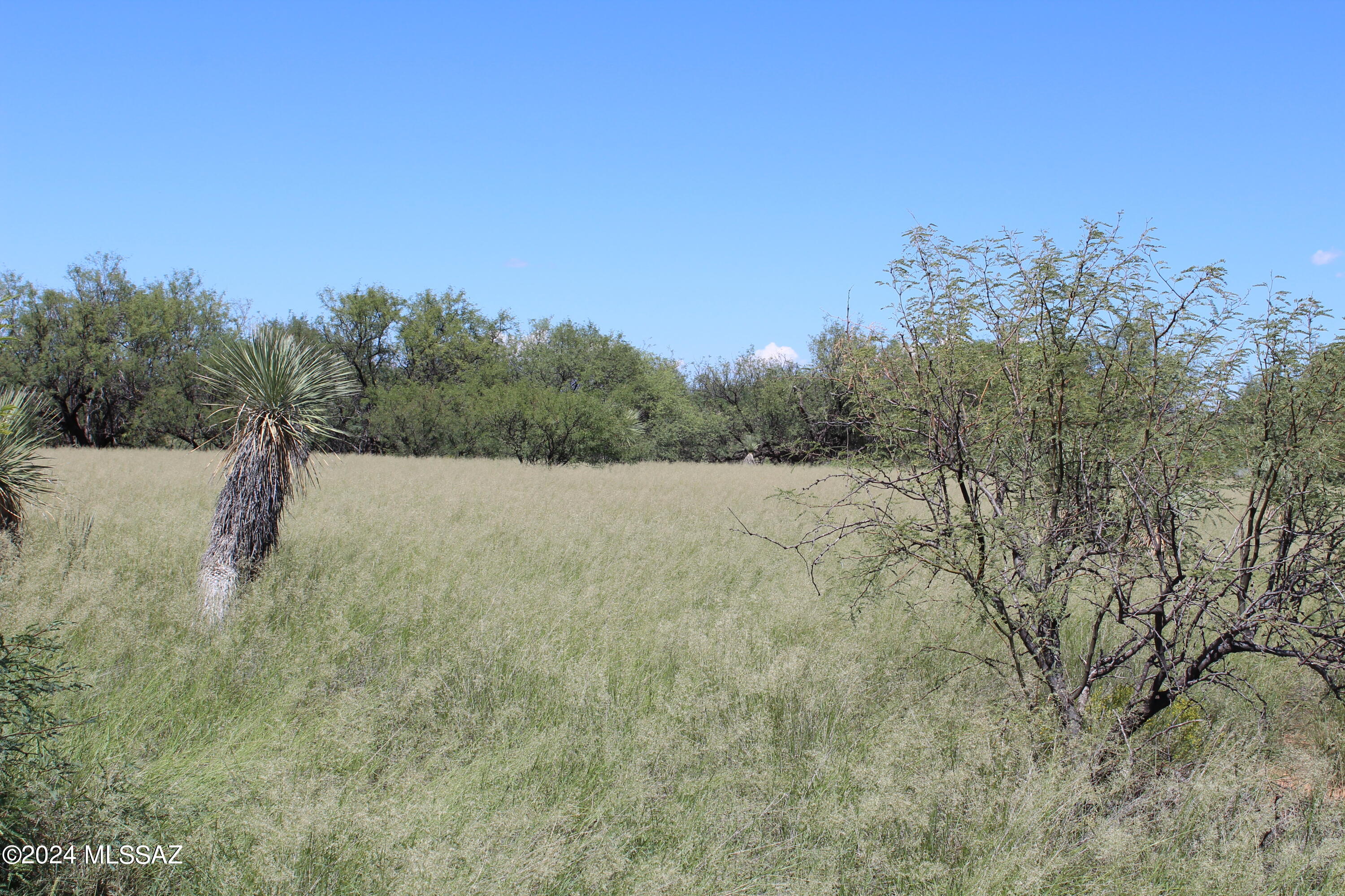 Tbd East Naiche Road, Unit 56 St. David, AZ 85630 - Photo 13 of 17