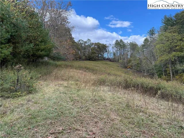 a view of a field with trees in the background