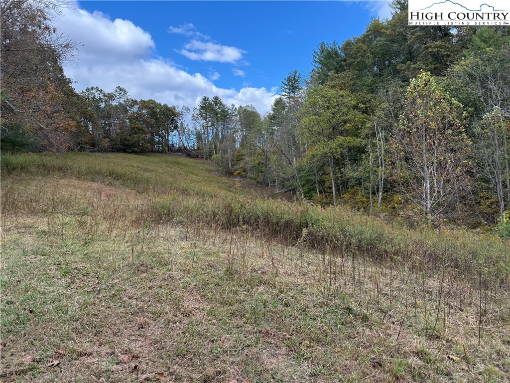 49 Loggy Hollow Road Bakersville, NC 28705 - Photo 12 of 17 a view of a lush green forest with lots of green space
