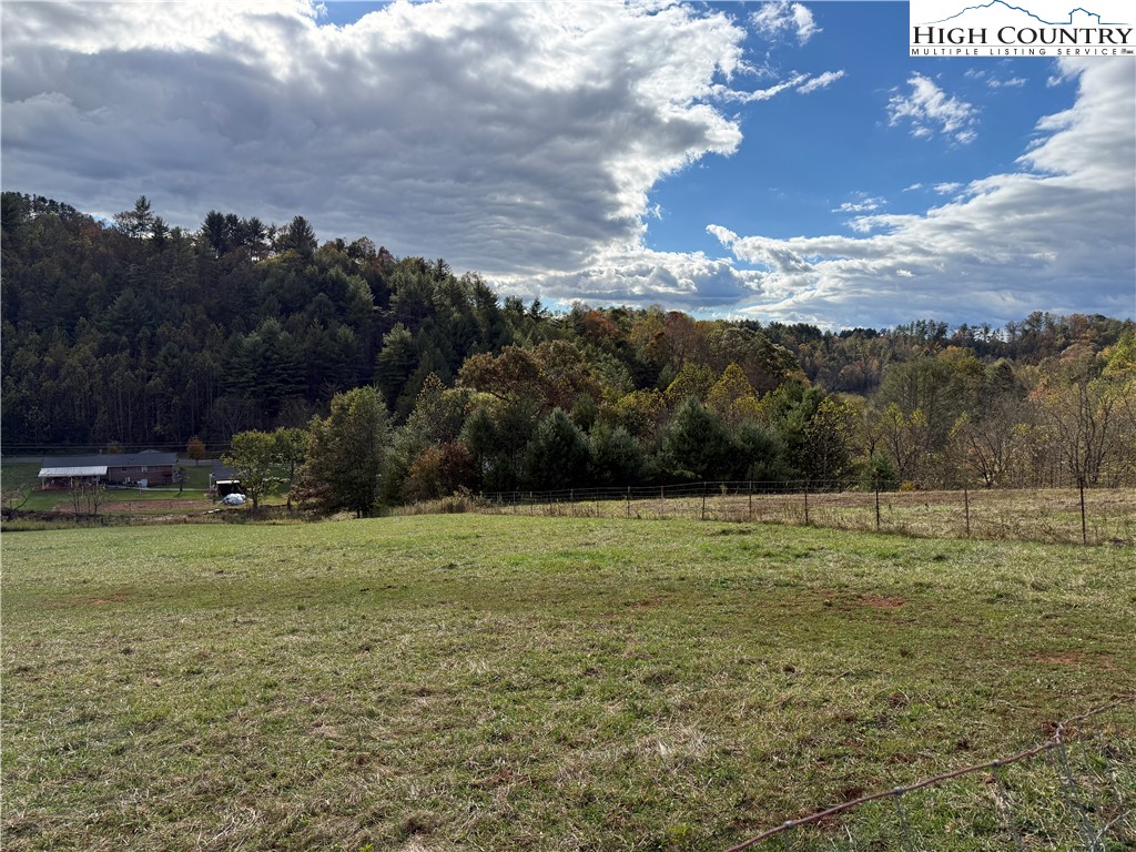 49 Loggy Hollow Road Bakersville, NC 28705 - Photo 15 of 17 a view of outdoor space with mountain view