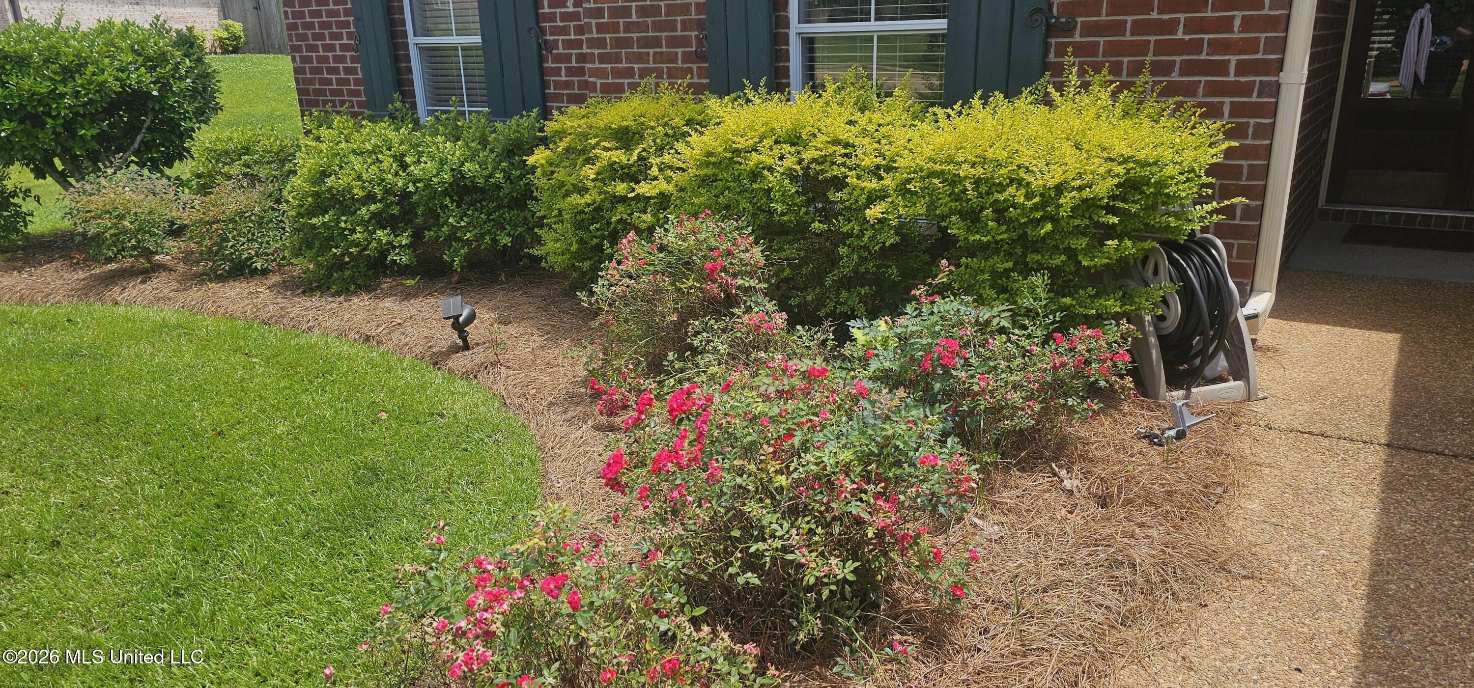157 Devlin Springs Drive Madison, MS 39110 - Photo 2 of 11 1000011749