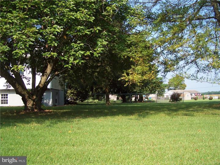 1773 Butler Road Harrington, DE 19952 - Photo 21 of 21 Gallery Image 21