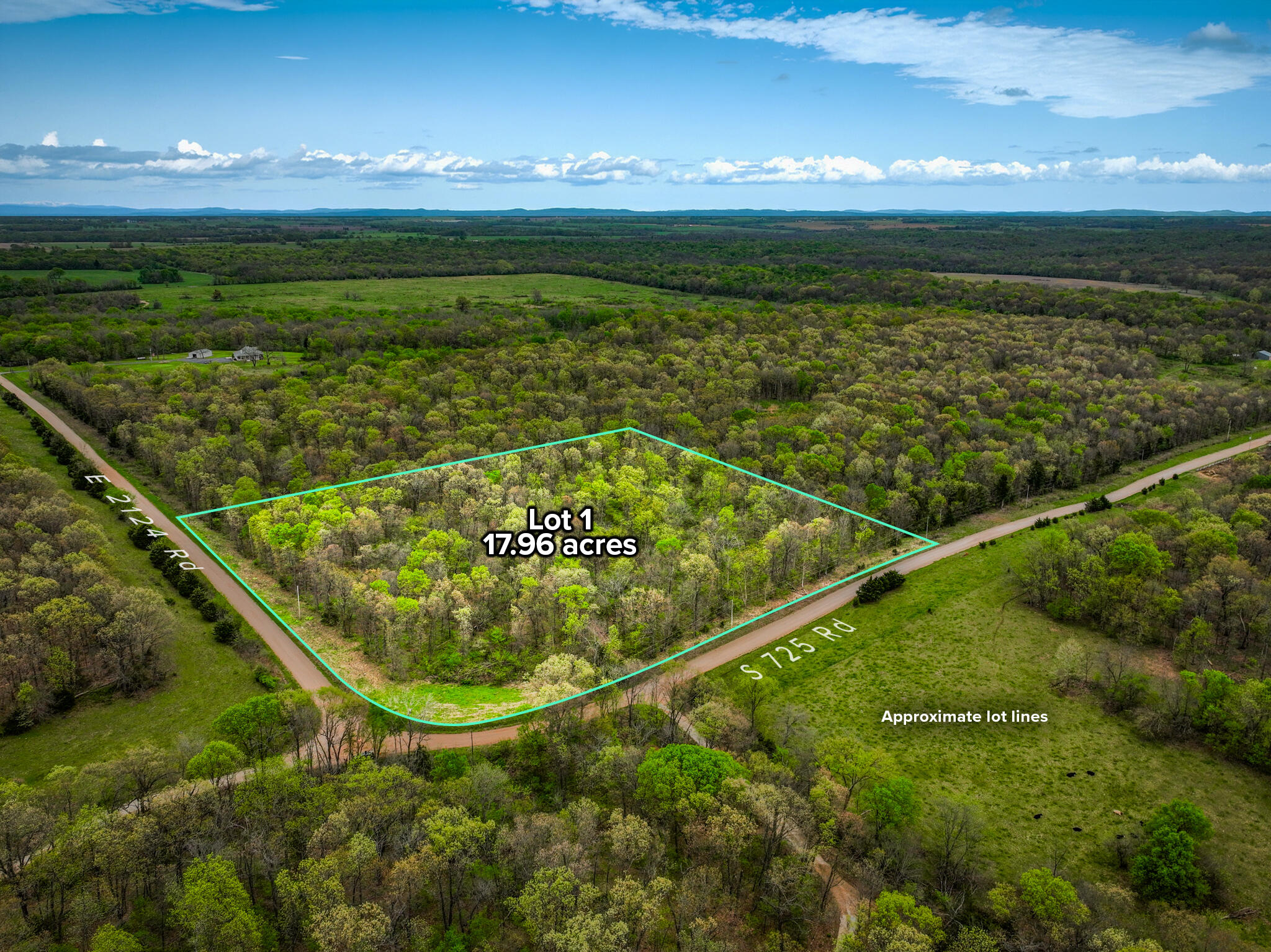 21395 East 2124 Road Stockton, MO 65785 - Photo 2 of 42 Master overview. Lot 1