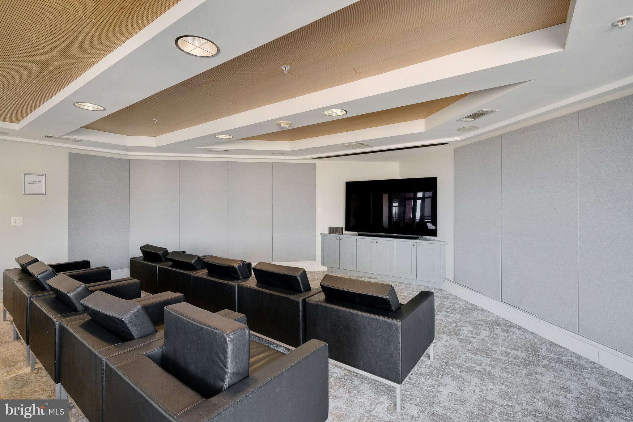 3600 South Glebe Road, Unit 611W Arlington, VA 22202 - Photo 34 of 43 Movie Room