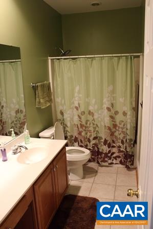 79 Riverside Drive Palmyra, VA 22963 - Photo 16 of 17 a bathroom with a sink a toilet and shower
