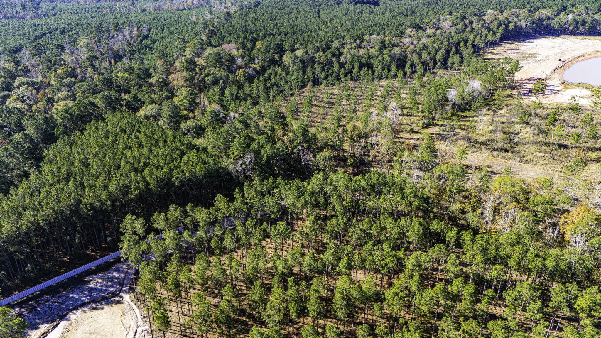 8 Big Buck Drive Moscow, TX 75960 - Photo 5 of 12 a view of a garden