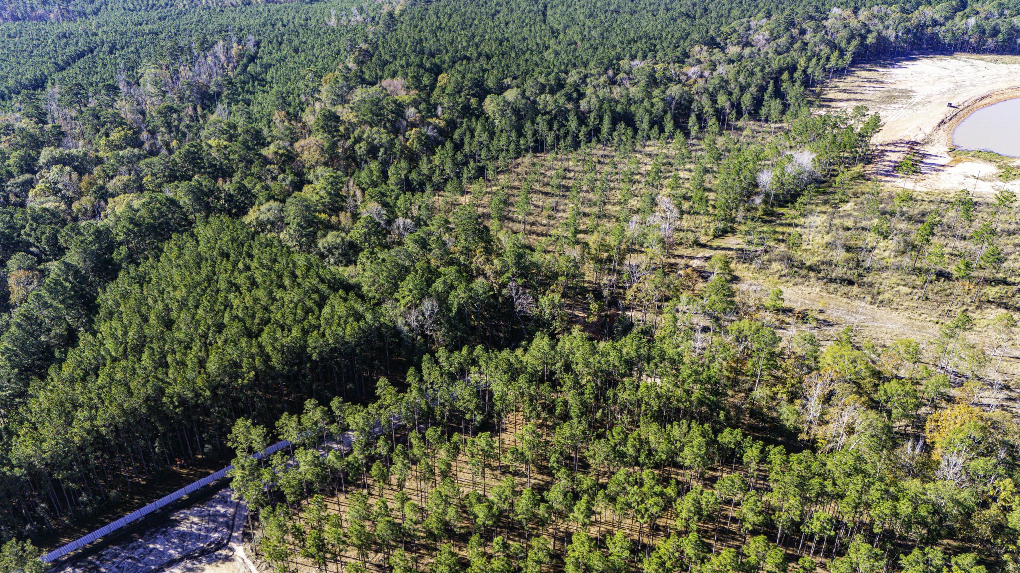 8 Big Buck Drive Moscow, TX 75960 - Photo 6 of 12