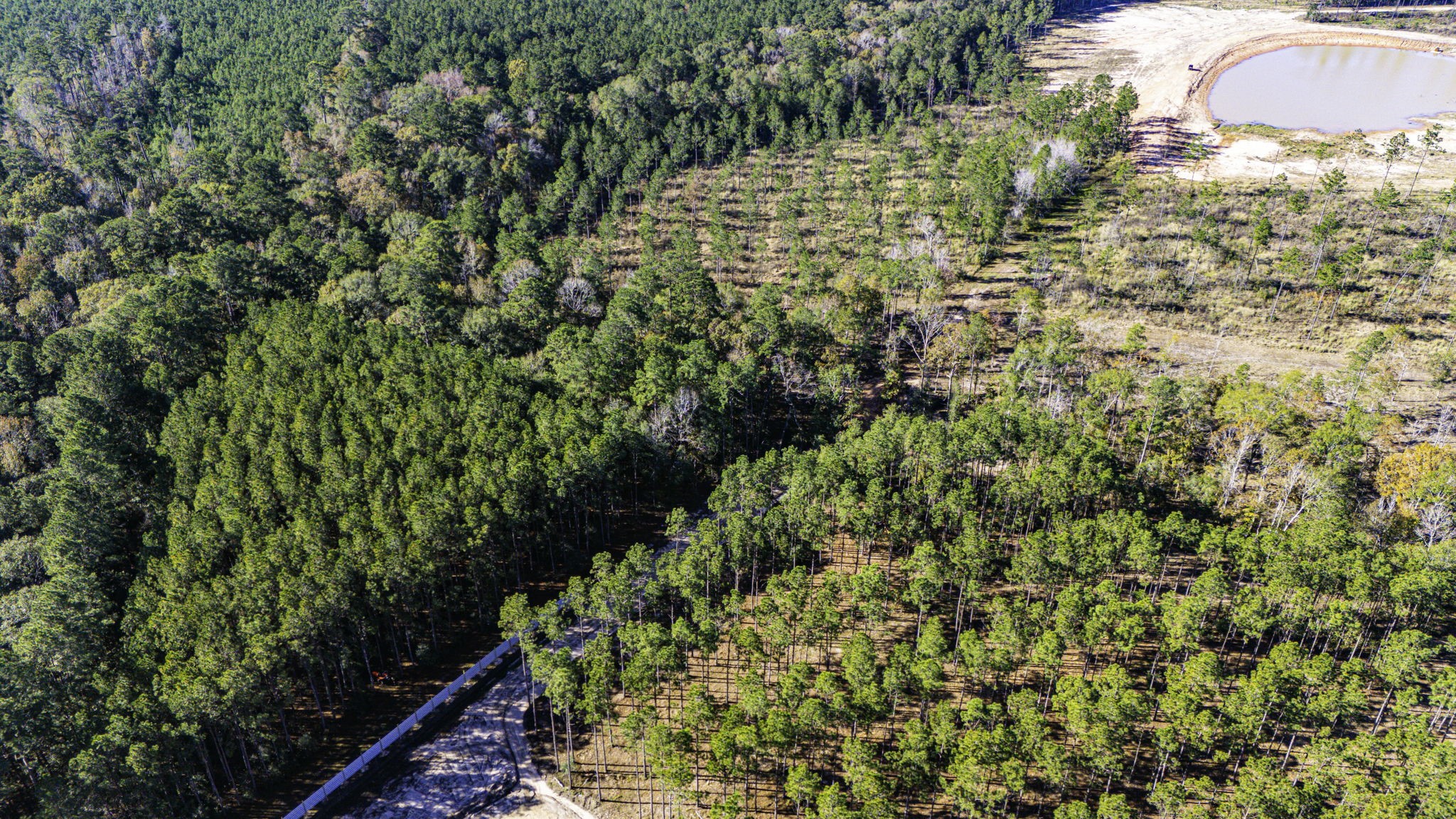 8 Big Buck Drive Moscow, TX 75960 - Photo 7 of 12 a view of a garden