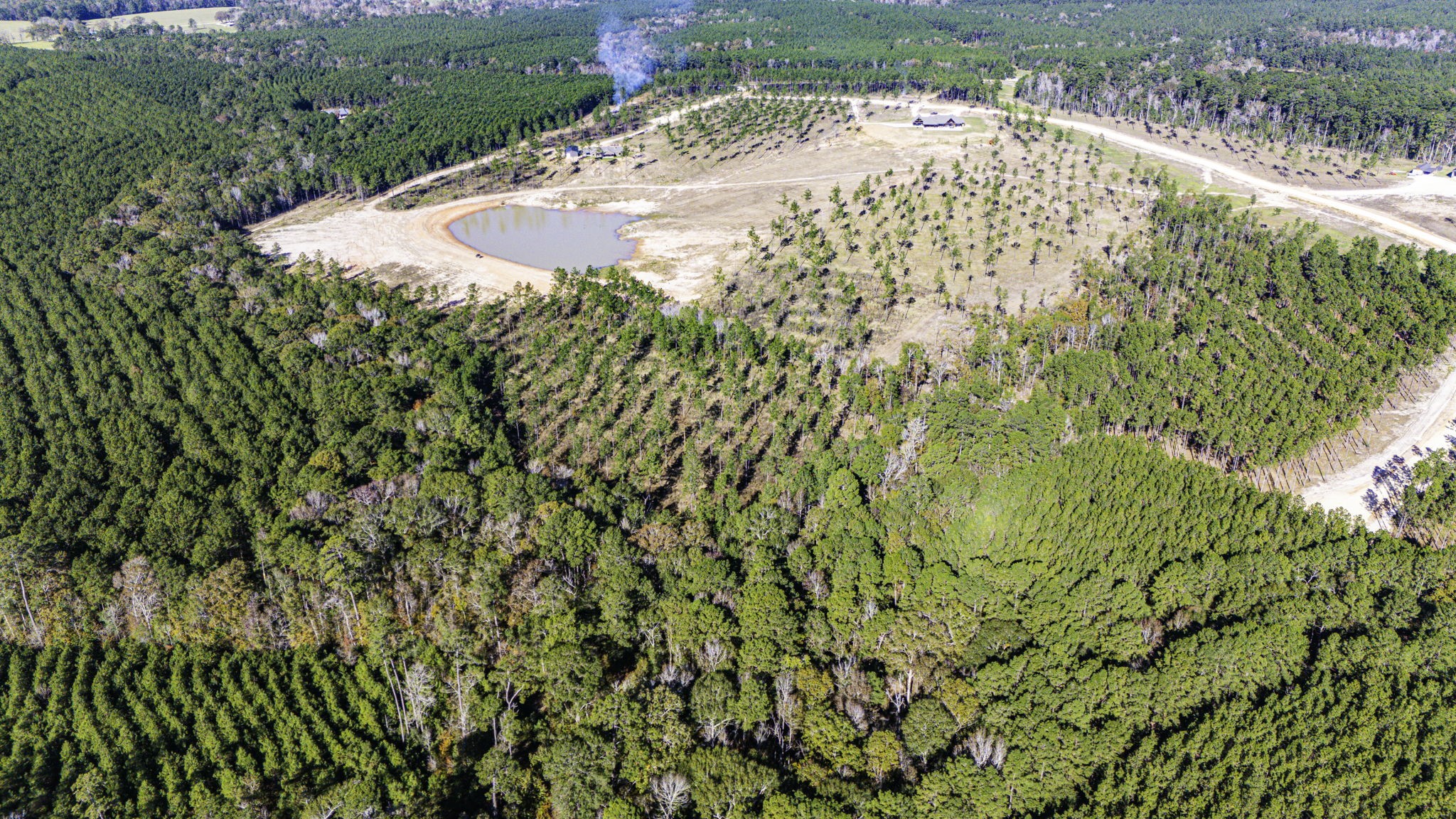 8 Big Buck Drive Moscow, TX 75960 - Photo 9 of 12 a view of a backyard of a house